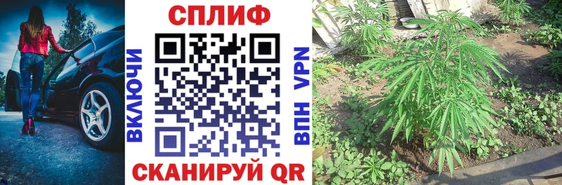 нарко площадка формула  МЕГА зеркало  Фокино  Шишки марихуана гибрид 